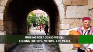 Linking Culture to Nature and Peace