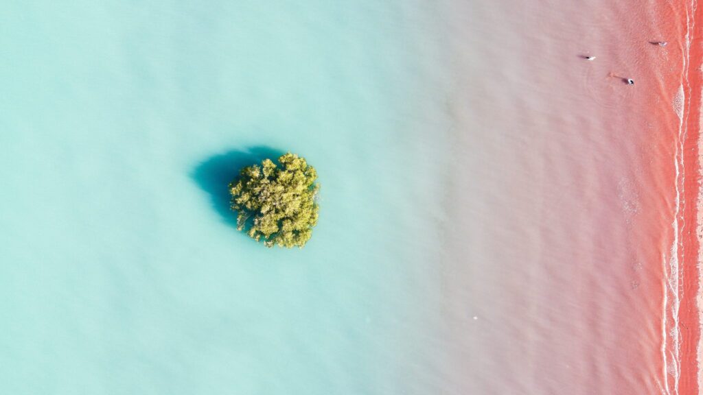 World Reaches Historic Ocean Conservation Milestone as 10% of Marine Areas Gain Protection
