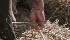 Crise agricole au Sud-Liban : guerre, sécheresse et survie menacent l’avenir du secteur