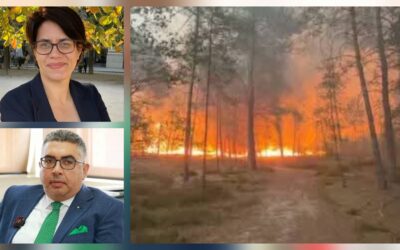 Fadi Ghanem exprime la solidarité du Liban avec la France face aux incendies dévastateurs et adresse un message de soutien au Comité français de l’UICN